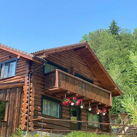 Bellevue Lodge