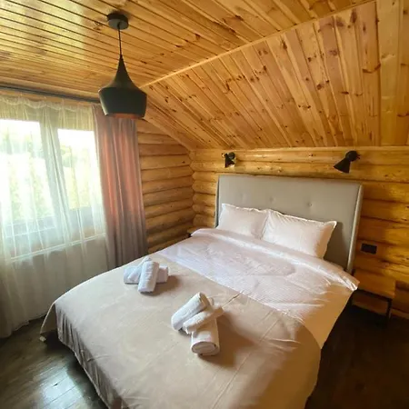 Lodge Bellevue *
