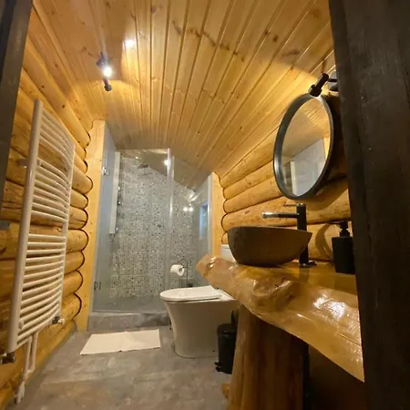 Bellevue Lodge *